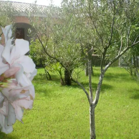Apartment Residenza Marina *